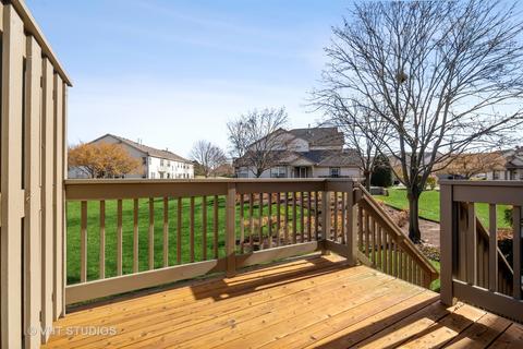 107 Tamarack Ct, Lindenhurst, IL 60046 photo 18