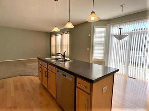1503 Broadlawn Dr, Plainfield, IL 60586 photo 16