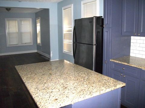 49 E 102nd Pl, Chicago, IL 60628 photo 5