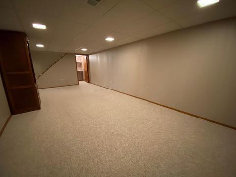 306 E Andrew Ave, Dwight, IL 60420 photo 18