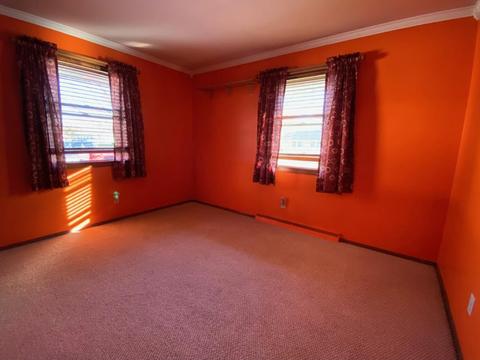 306 E Andrew Ave, Dwight, IL 60420 photo 15