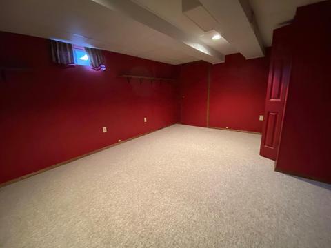 306 E Andrew Ave, Dwight, IL 60420 photo 19