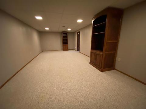 306 E Andrew Ave, Dwight, IL 60420 photo 17