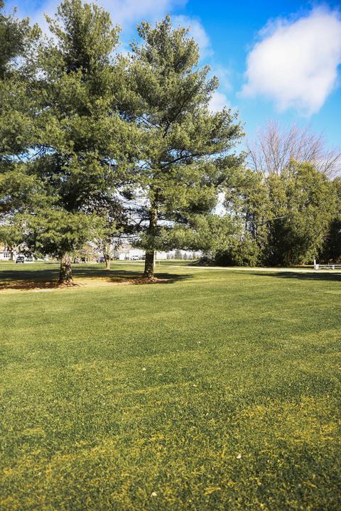557 Penrose Rd, Dixon, IL 61021 photo 14
