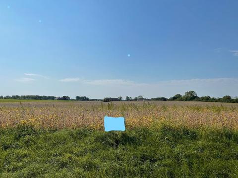 6995 W Dralle Rd, Monee, IL 60449 photo 2