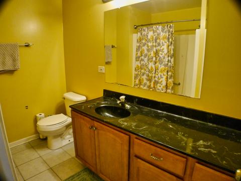 9401 S Octavia Ave, Bridgeview, IL 60455 photo 26