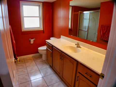 9401 S Octavia Ave, Bridgeview, IL 60455 photo 20