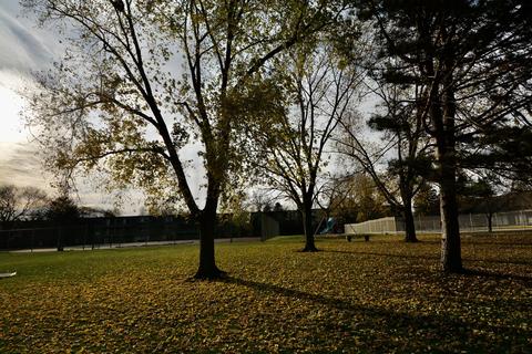 218 E Bailey Rd #C, Naperville, IL 60565 photo 3