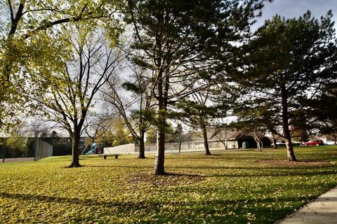 218 E Bailey Rd #C, Naperville, IL 60565 photo 2
