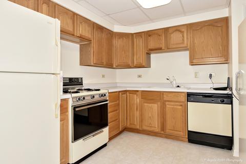 2015 Bryn Mawr Ct, Johnsburg, IL 60051 photo 26