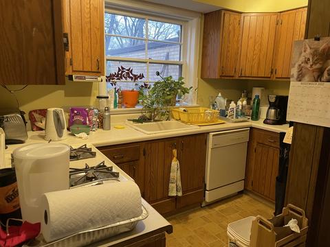 656 Rose Ave, Des Plaines, IL 60016 photo 11