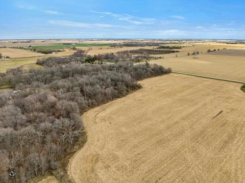 28850 S Elevator Rd, Manhattan, IL 60442 photo 8
