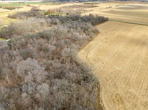 28850 S Elevator Rd, Manhattan, IL 60442 photo 4