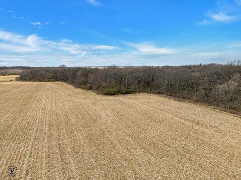 28850 S Elevator Rd, Manhattan, IL 60442 photo 7