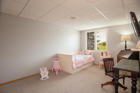 9209 Daniel Ln, Spring Grove, IL 60081 photo 23