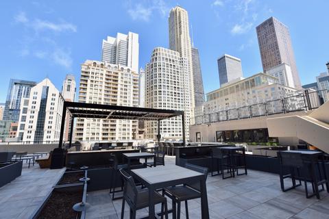 30 E Huron St #1706, Chicago, IL 60611 photo 27