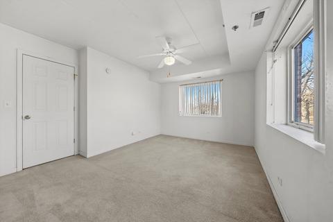 7336 40th St #2F, Lyons, IL 60534 photo 11
