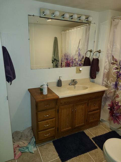 305 Evans Ave, Ashton, IL 61006 photo 6