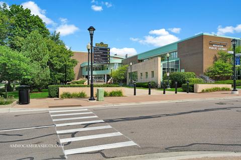 1772 Challenger Ct, Wheaton, IL 60189 photo 48