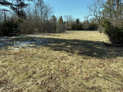 6501 S Elm St, Burr Ridge, IL 60527 photo 3