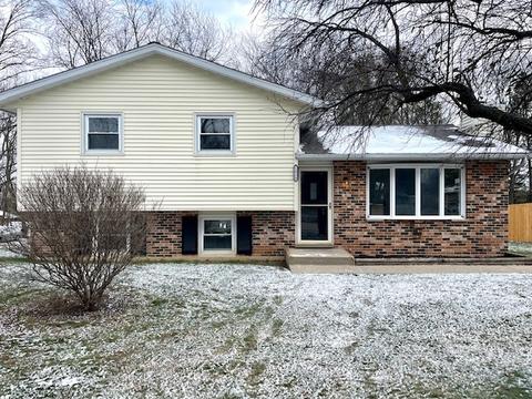 1019 W Windsor Dr, Mchenry, IL 60051 photo 1