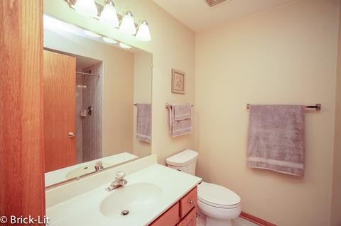 19544 Westminster Dr, Mokena, IL 60448 photo 13