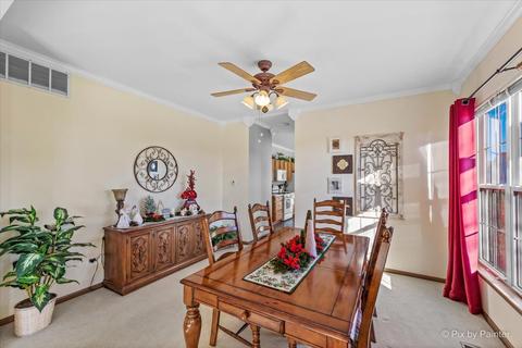 21214 W Walnut Ln, Plainfield, IL 60544 photo 18