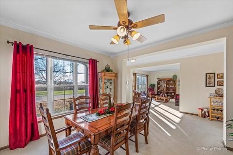 21214 W Walnut Ln, Plainfield, IL 60544 photo 19