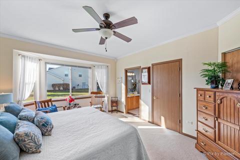 21214 W Walnut Ln, Plainfield, IL 60544 photo 10