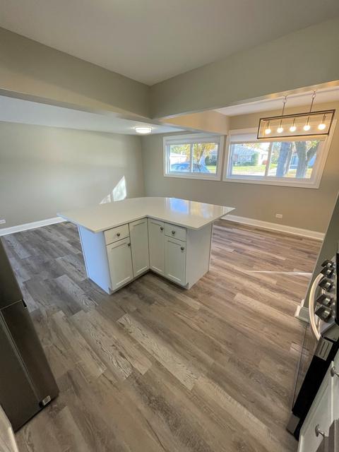 230 Westview St, Hoffman Estates, IL 60169 photo 4