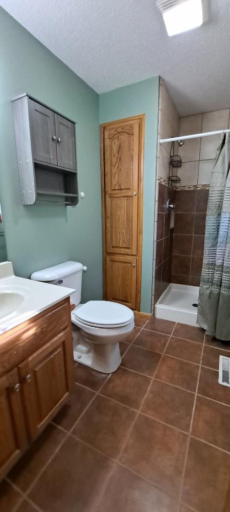 205 S Steele St, Cherry, IL 61317 photo 14