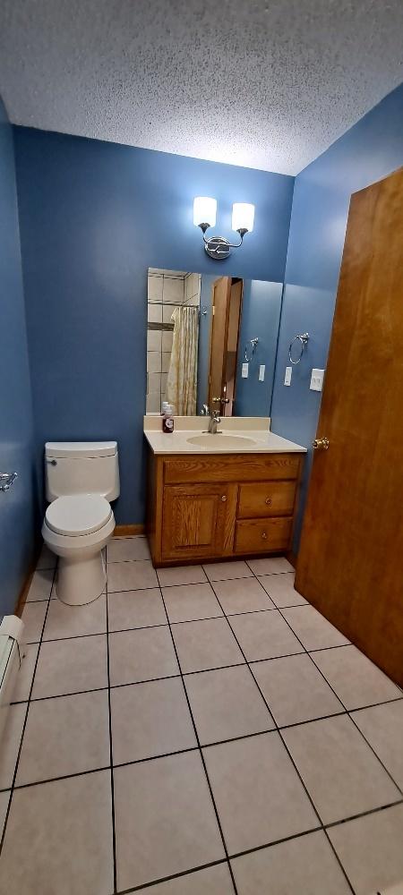 205 S Steele St, Cherry, IL 61317 photo 20