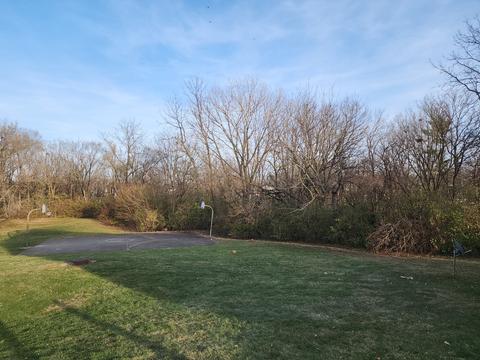 700 N Adelaide St #41, Normal, IL 61761 photo 15
