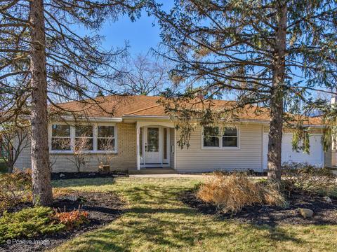 7421 Camelia Dr, Hanover Park, IL 60133 photo 1