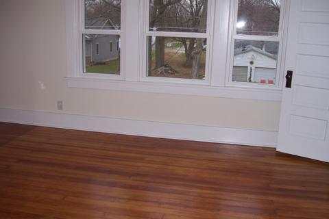 265 E Franklin St, Bement, IL 61813 photo 7