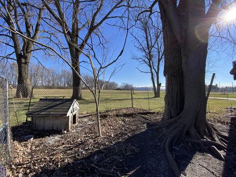 327 E John St, Forrest, IL 61741 photo 39