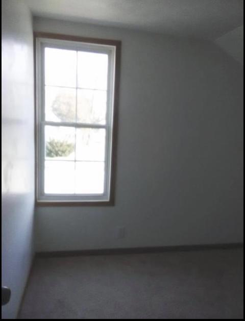 110 S Main St, Arrowsmith, IL 61722 photo 26