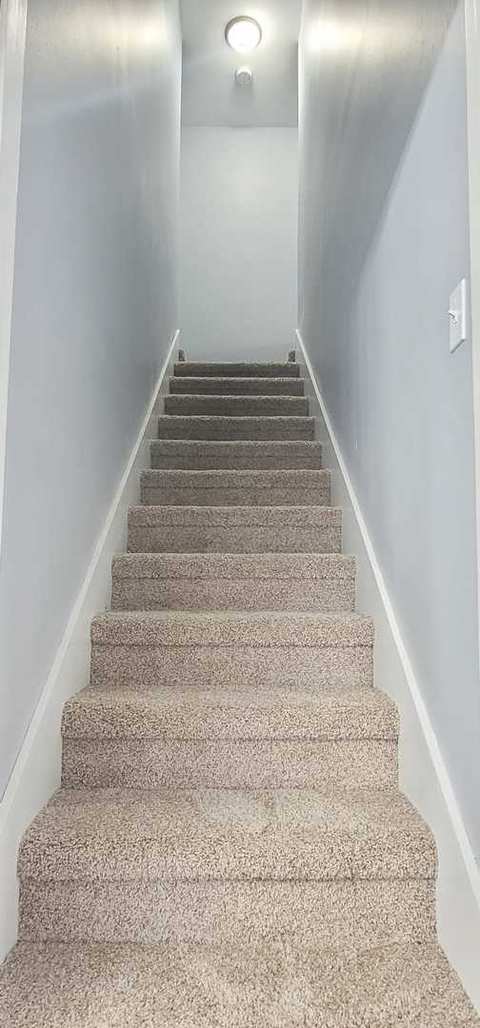 439 Bangs St, Aurora, IL 60505 photo 18