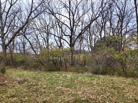 621 Brookside Drive, Varna, IL 61375