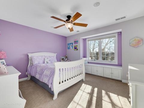 26517 Silverleaf Dr, Plainfield, IL 60585 photo 29