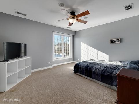 26517 Silverleaf Dr, Plainfield, IL 60585 photo 27