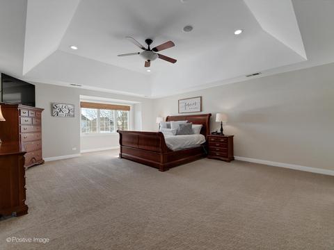 26517 Silverleaf Dr, Plainfield, IL 60585 photo 24