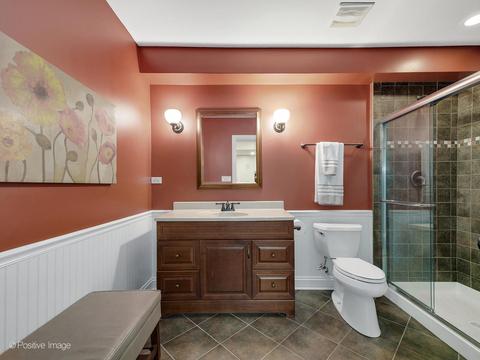 26517 Silverleaf Dr, Plainfield, IL 60585 photo 37