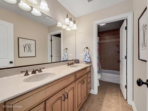26517 Silverleaf Dr, Plainfield, IL 60585 photo 28