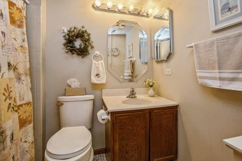323 Mulberry Ct #A1, Bartlett, IL 60103 photo 8