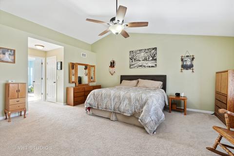25148 Constitution Ct, Plainfield, IL 60544 photo 19