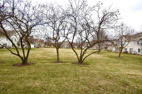 417 Cobbler Ct #4, Bartlett, IL 60103 photo 15