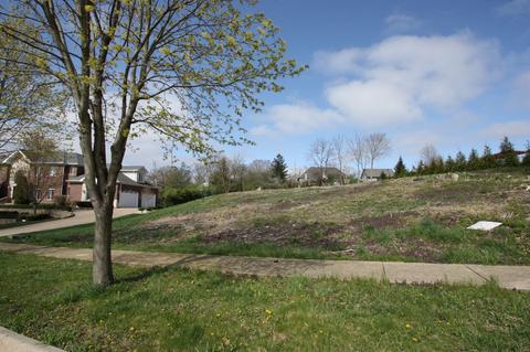 9250 Forest Edge Dr, Burr Ridge, IL 60527 photo 2