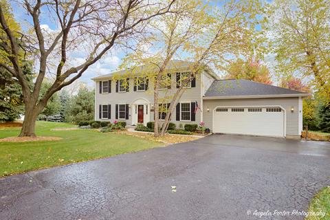241 Greens View Dr, Algonquin, IL 60102 photo 1