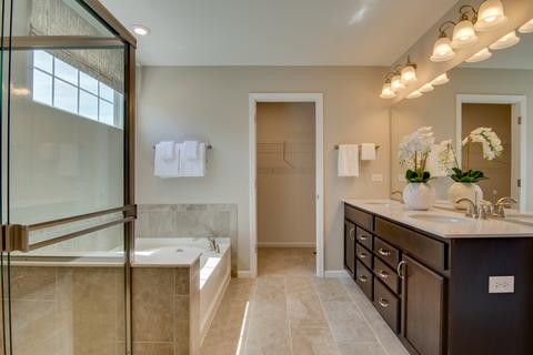2419 Lucent Ln, Naperville, IL 60563 photo 24